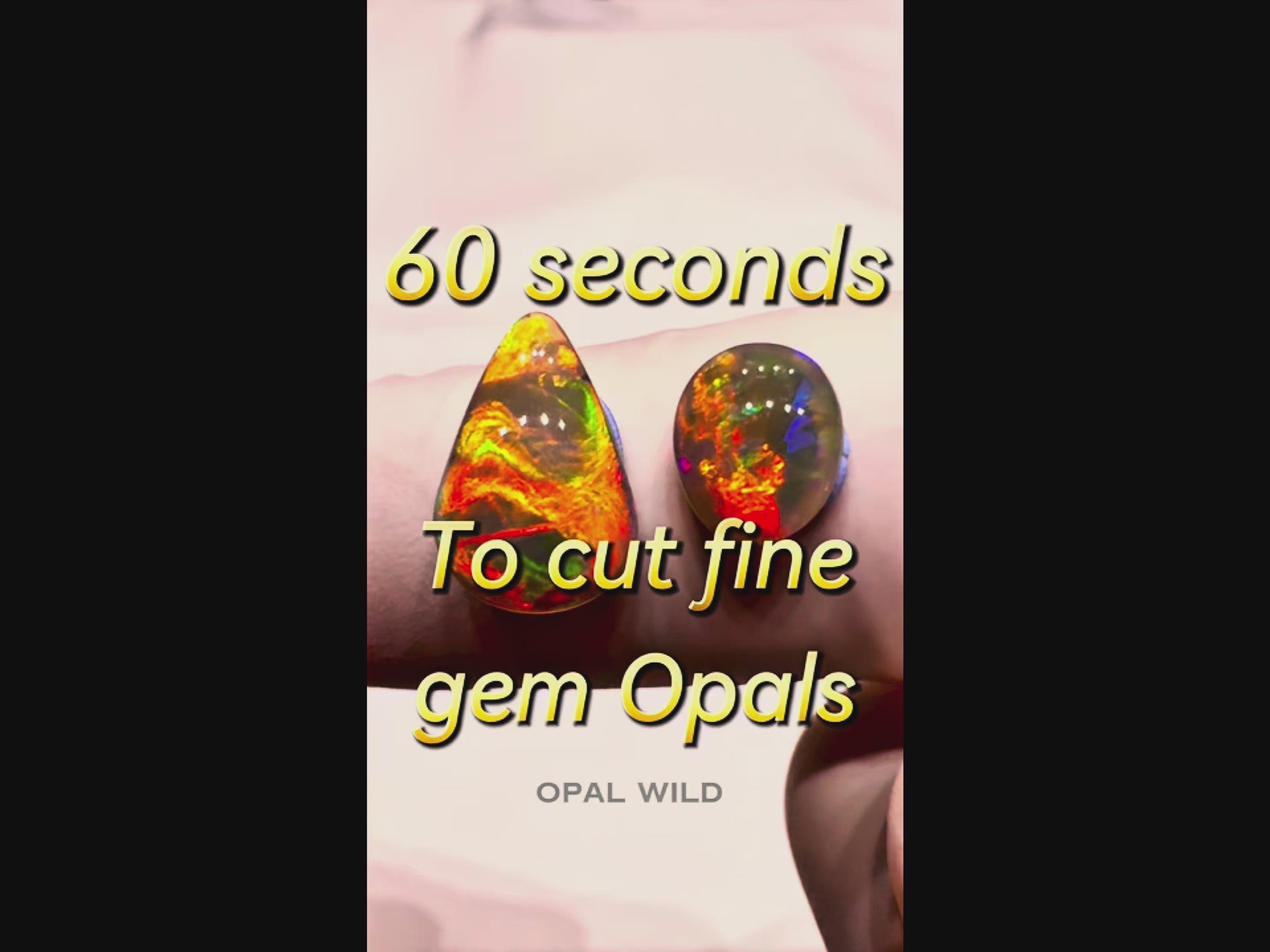Load video: Opal Wild discovery video